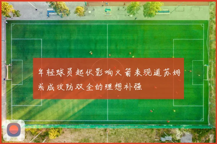 年轻球员起伏影响火箭表现道苏姆或成攻防双全的理想补强